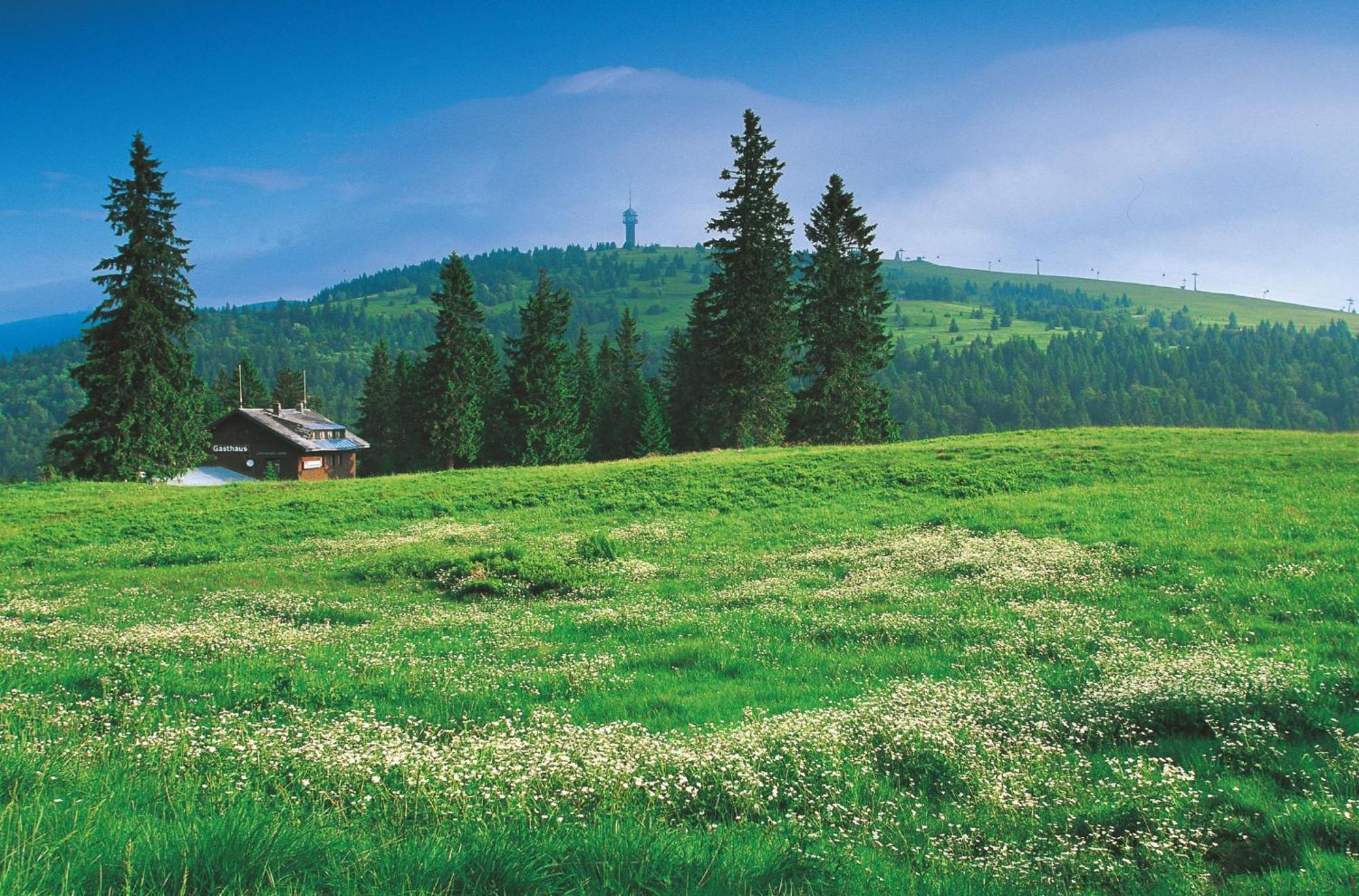 Hotel Charlott Айзенбах Екстериор снимка